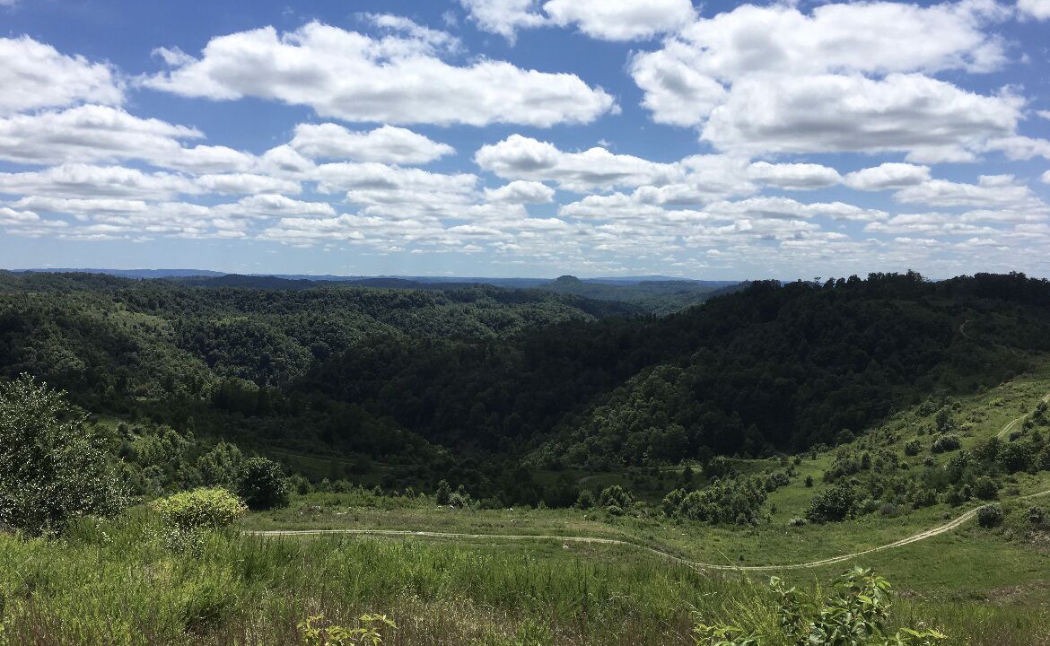 Photo of Outdoor in Grundy