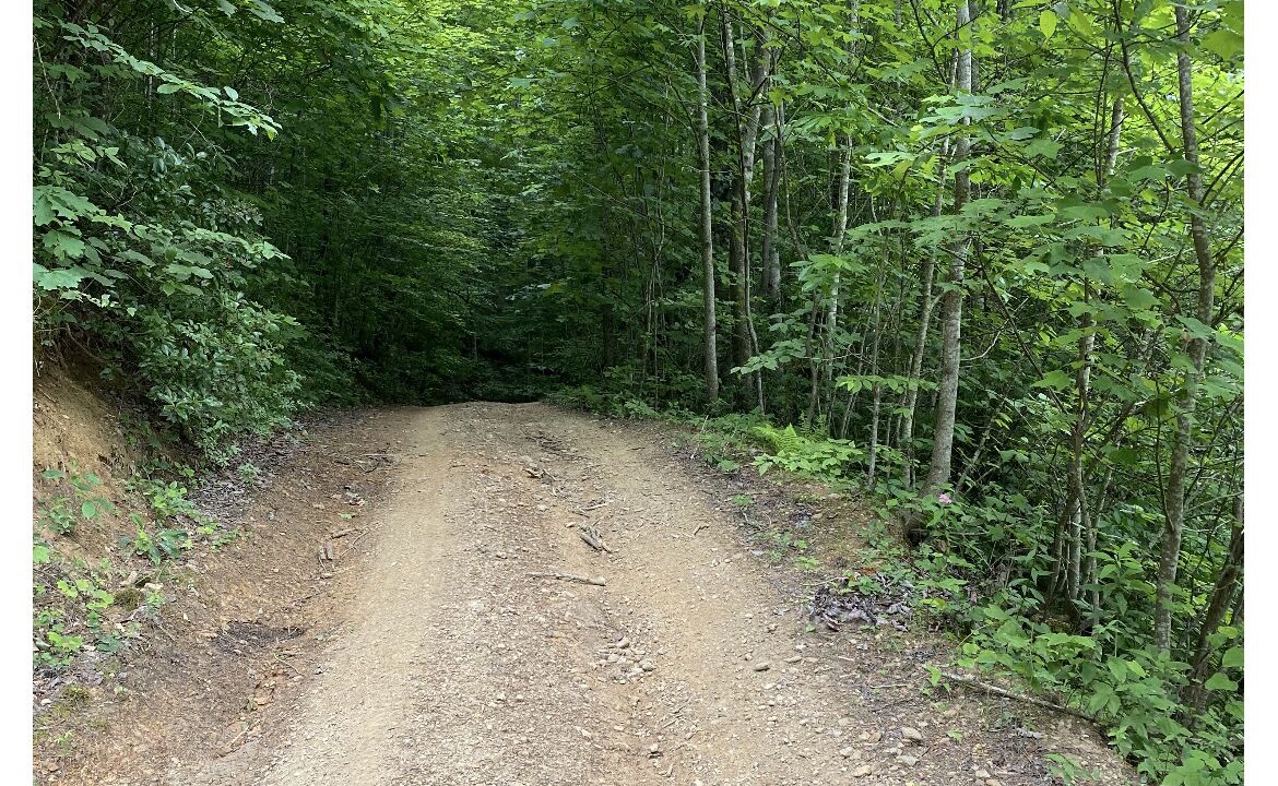 Photo of Others in Grundy