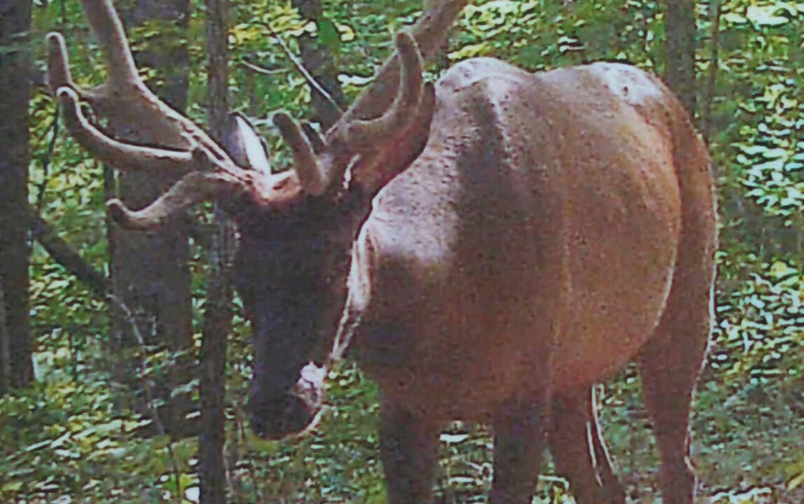 Photo of Others in Grundy