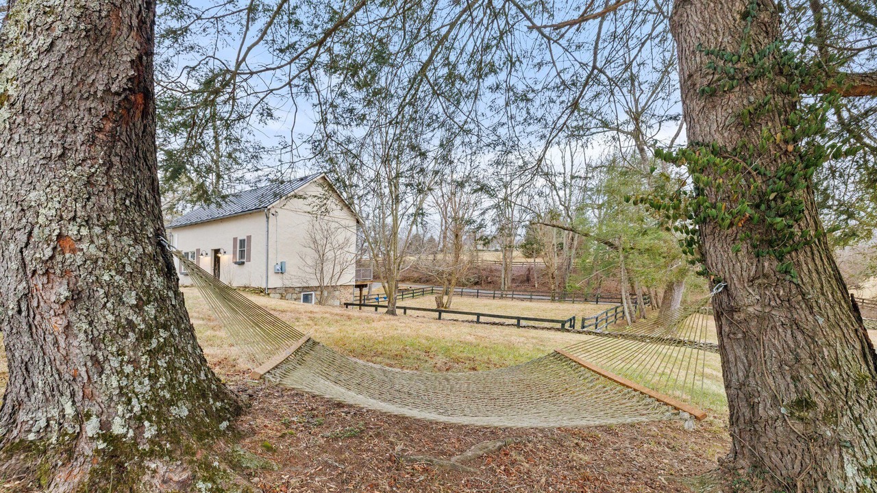 Photo of Outdoor in Middleburg