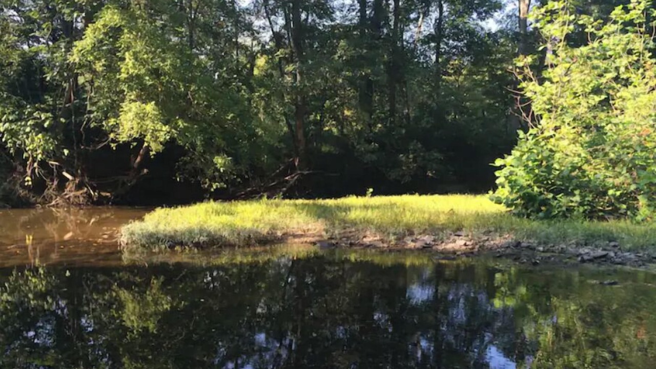 Photo of Others in Middleburg