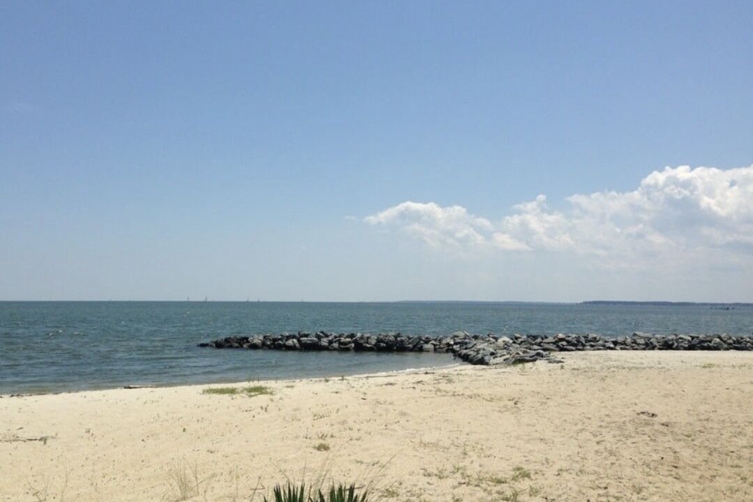 Photo of Others in Windmill Point