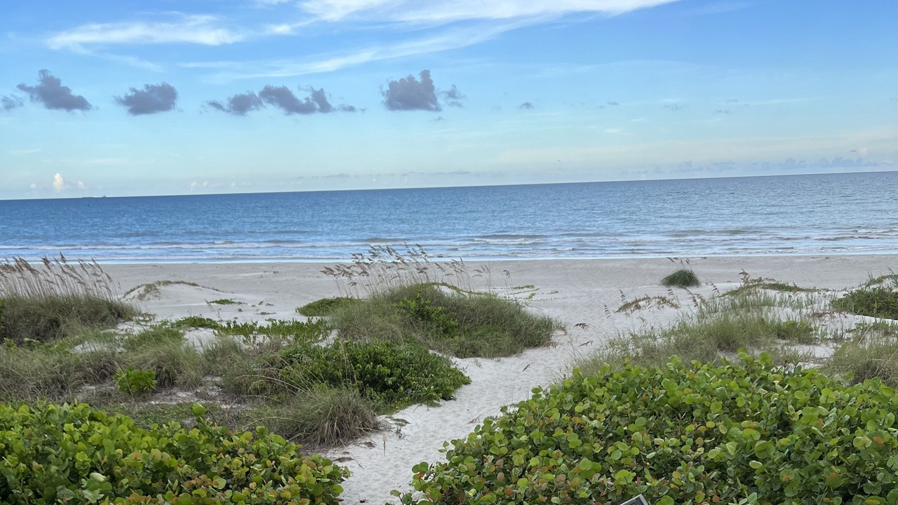 Photo of Others in Crescent Beach