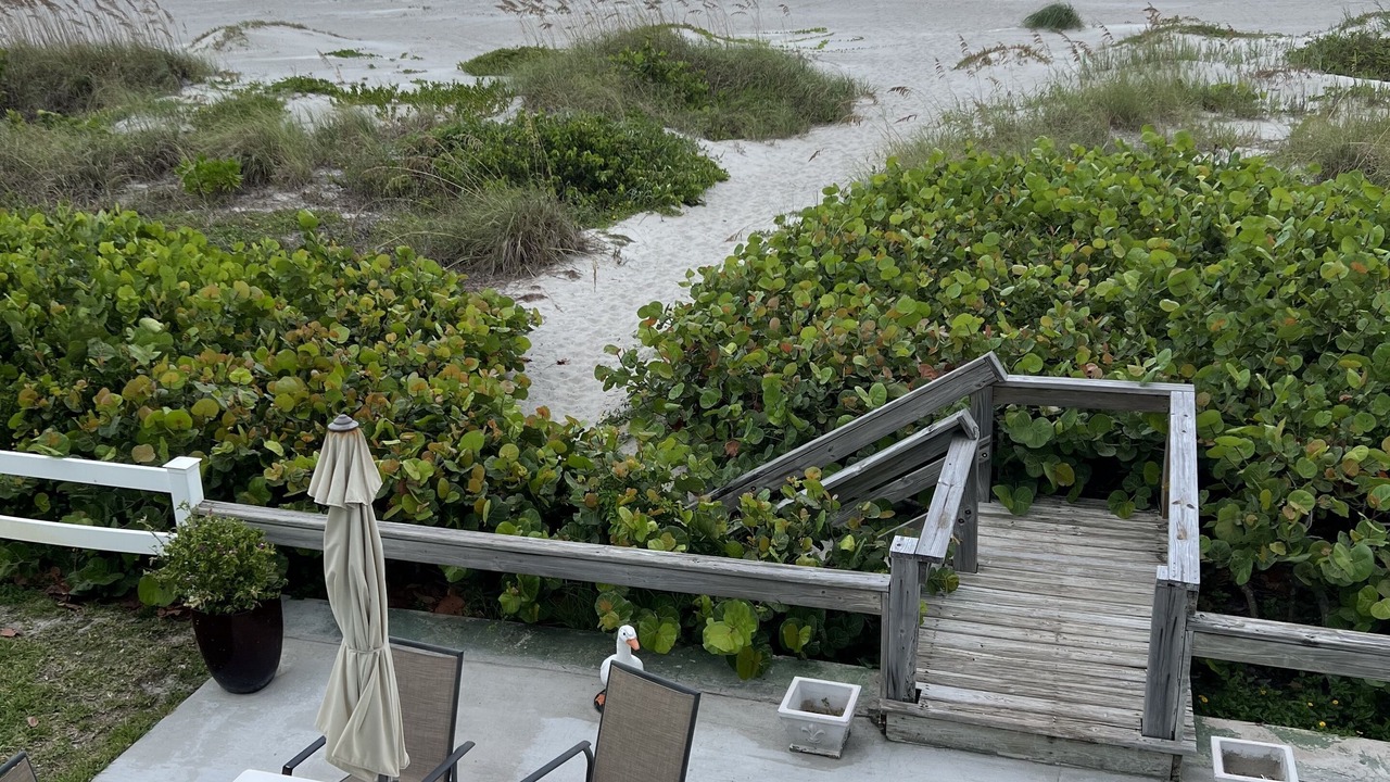 Photo of Outdoor in Crescent Beach