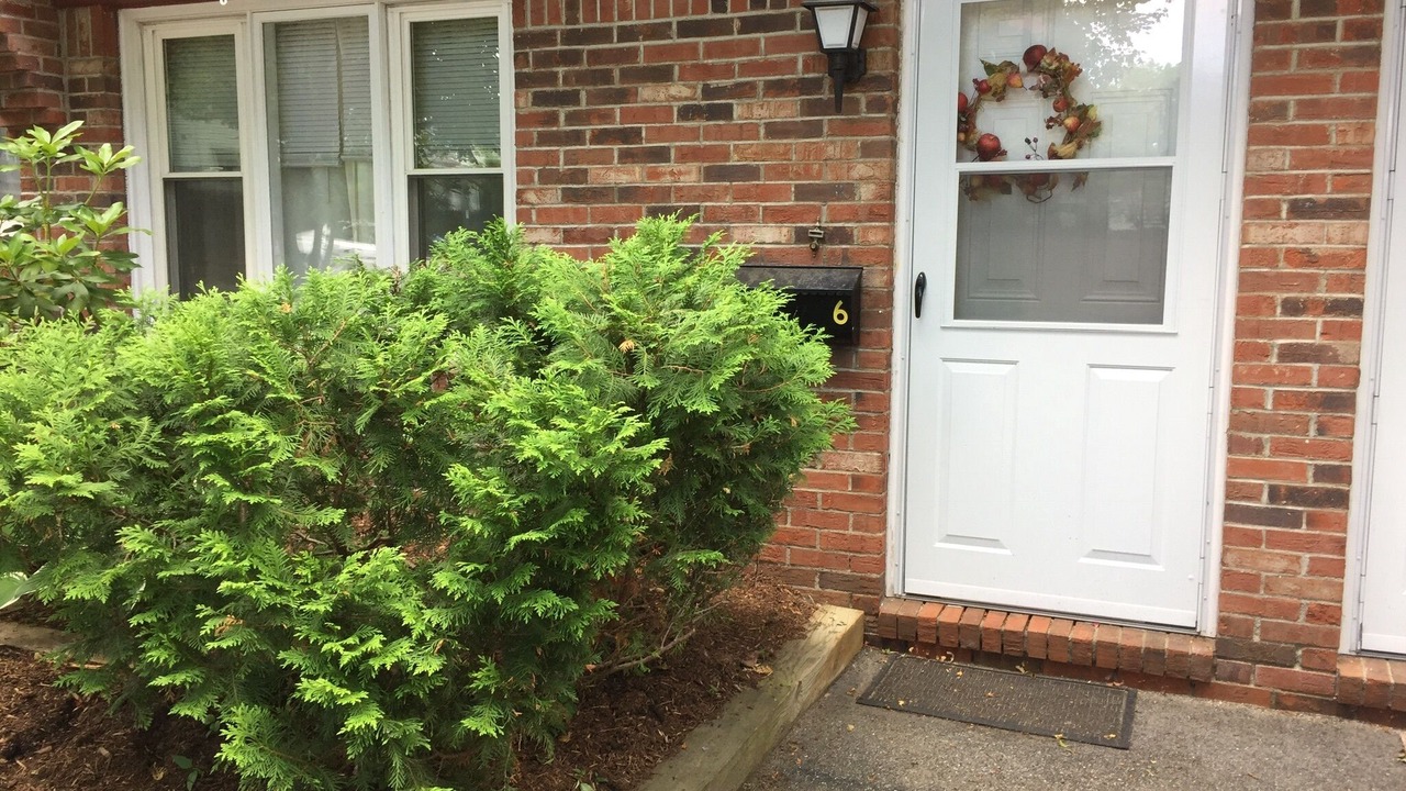 Photo of Outdoor in Lee