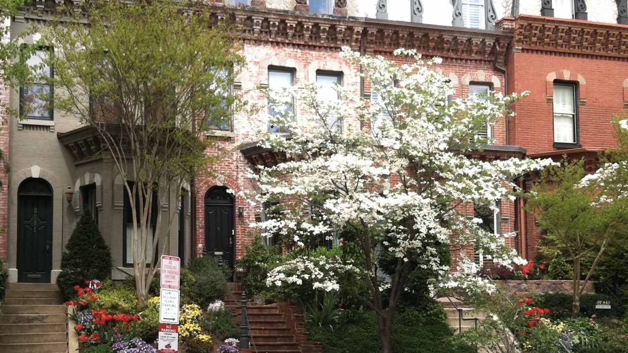 Photo of Outdoor in Dupont Circle