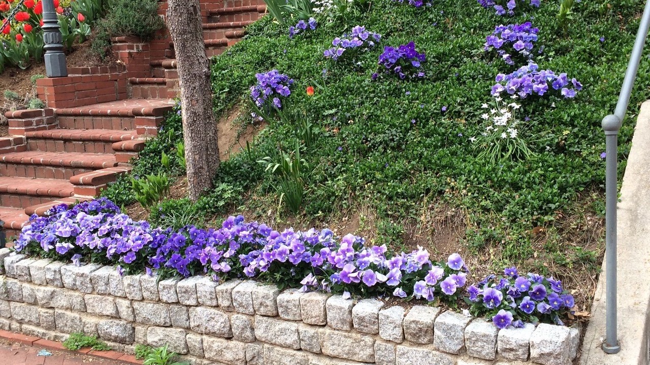 Photo of Outdoor in Dupont Circle