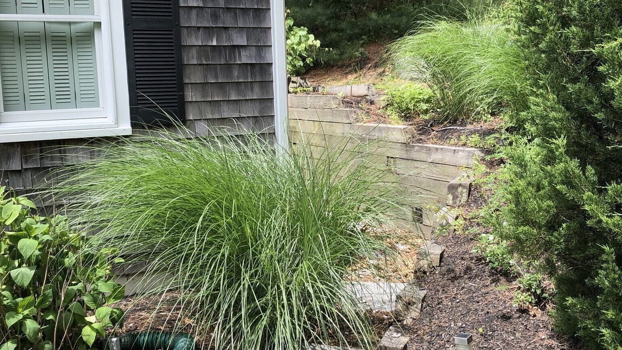 Photo of Outdoor in West Barnstable