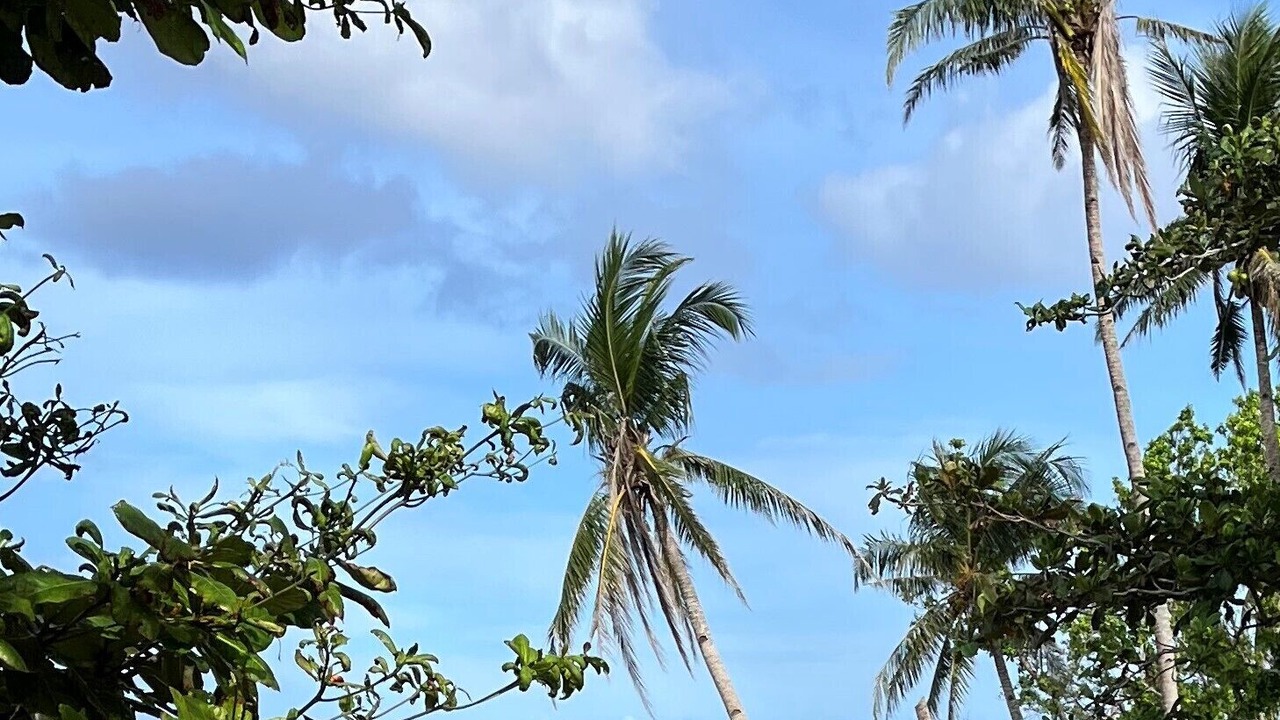 Photo of Others in Catangnan