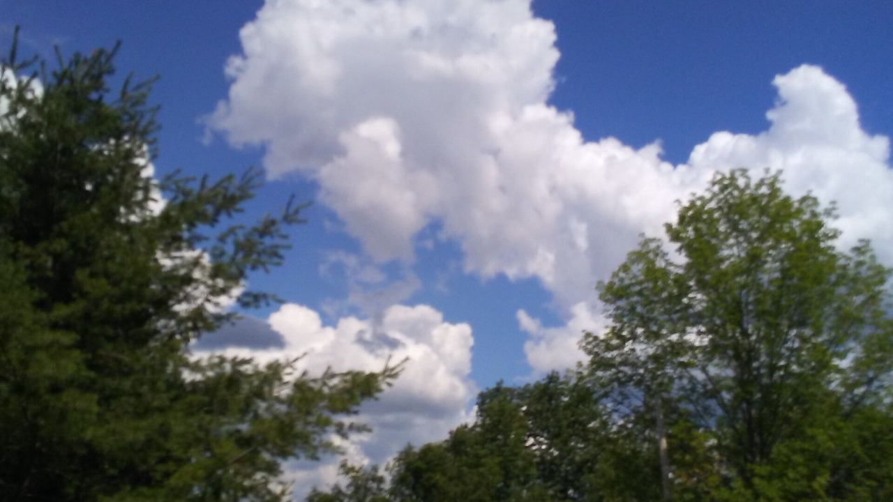 Photo of Outdoor in Town of Fulton