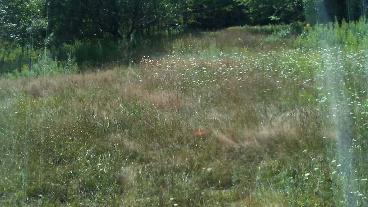 Photo of Outdoor in Town of Fulton