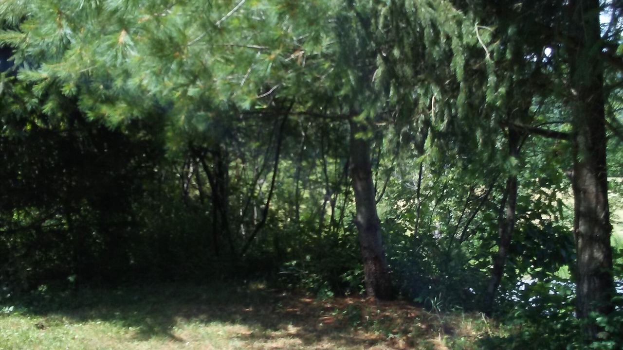 Photo of Outdoor in Town of Fulton