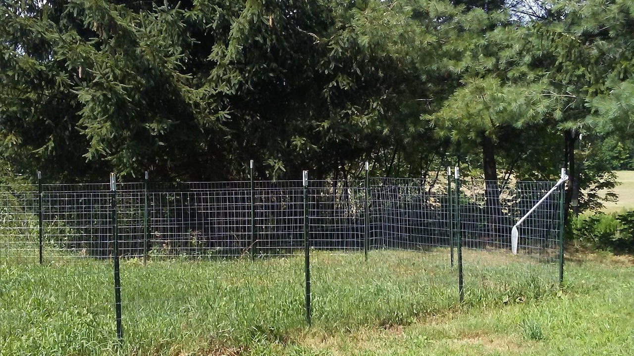 Photo of Outdoor in Town of Fulton