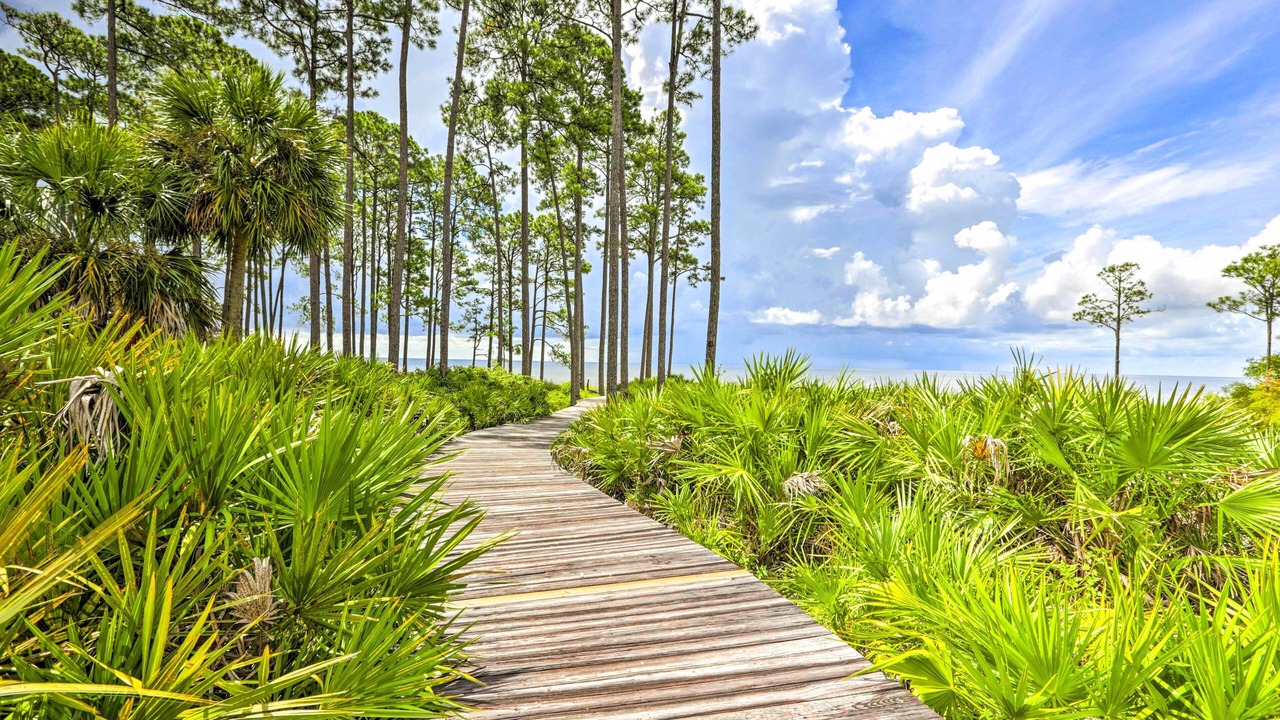 Photo of Outdoor in Panacea