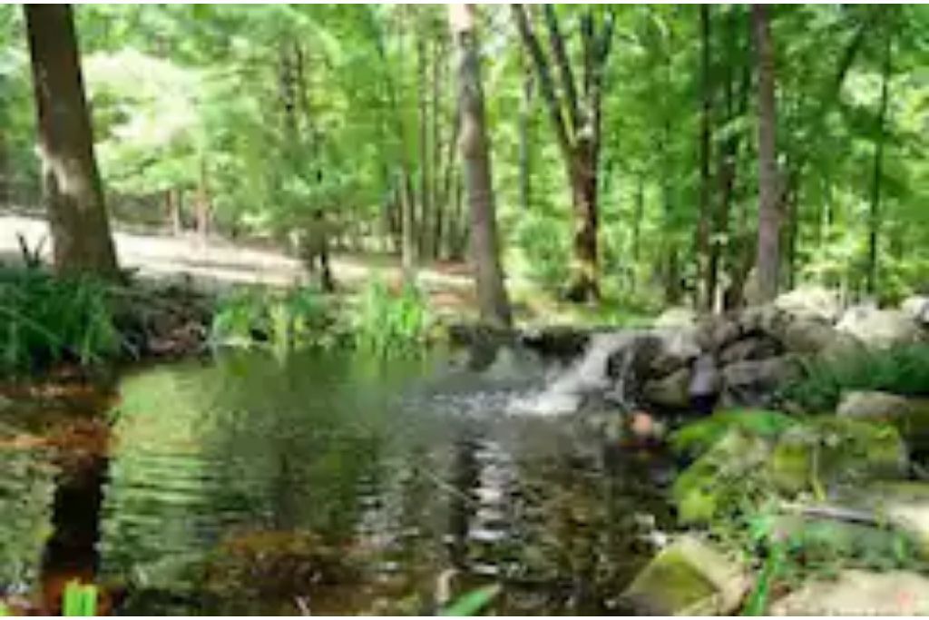 Photo of Outdoor in Town of Marbletown