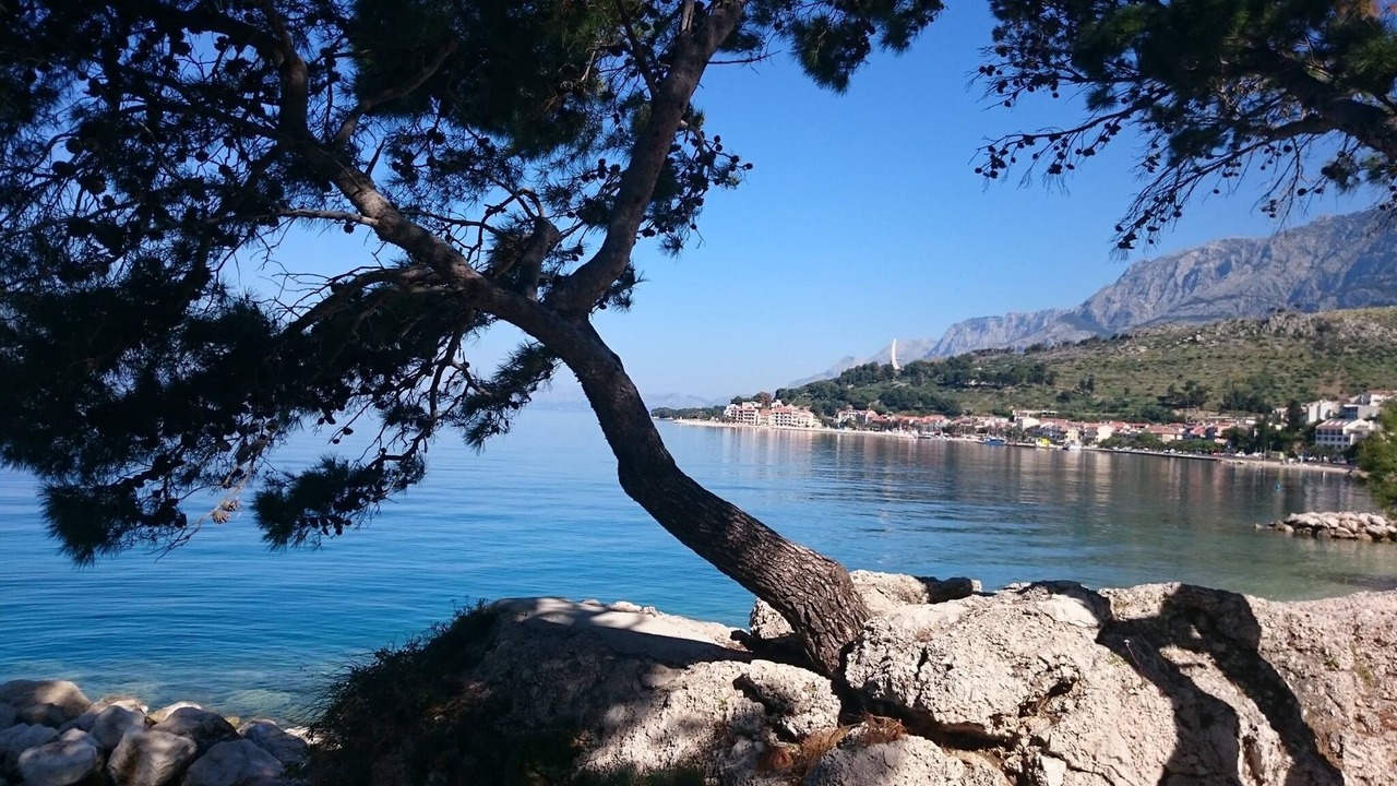 Photo of Others in Podgora