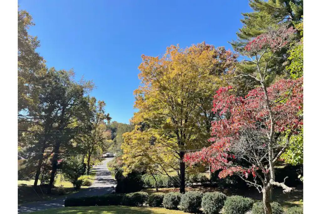 Photo of Outdoor in Bristol
