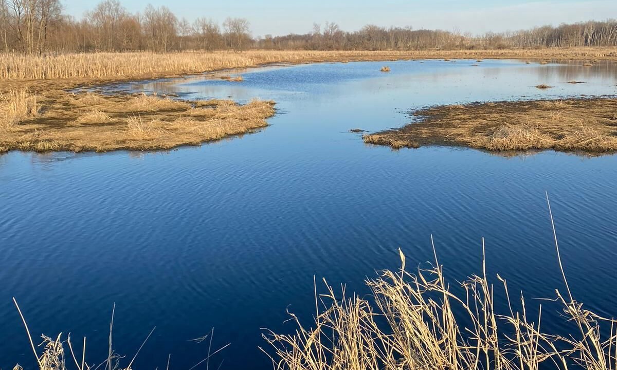 Photo of Others in Saint Marys  Allen County
