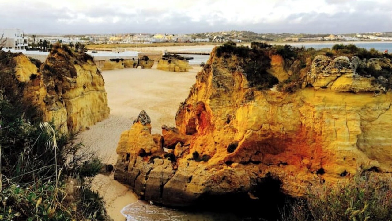 Photo of Others in Alfarrobeira