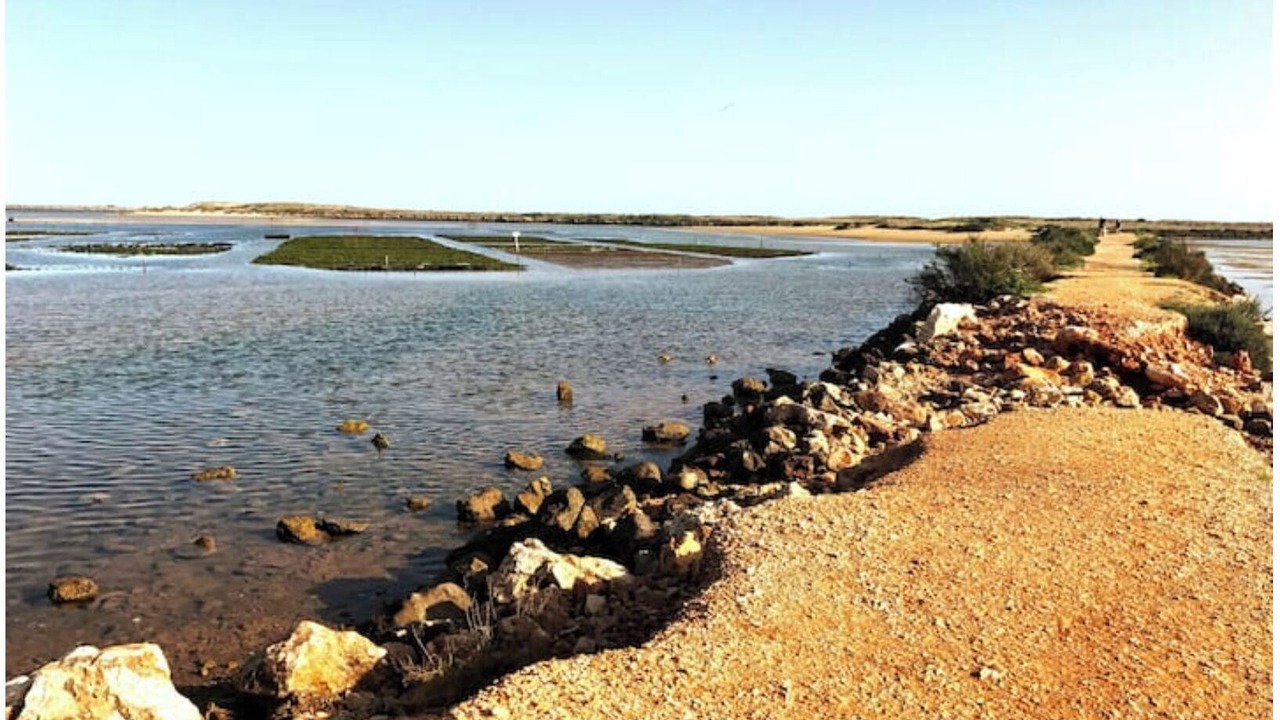 Photo of Others in Alfarrobeira