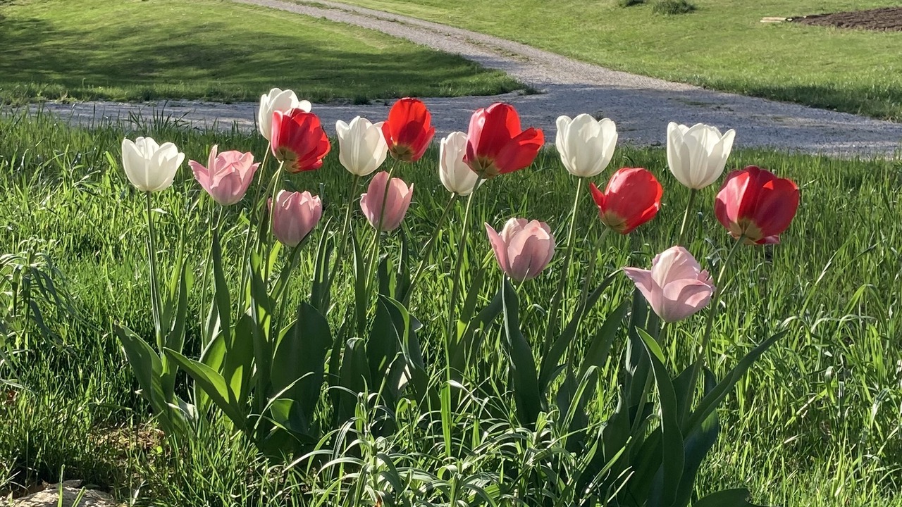 Photo of Others in Schnellville
