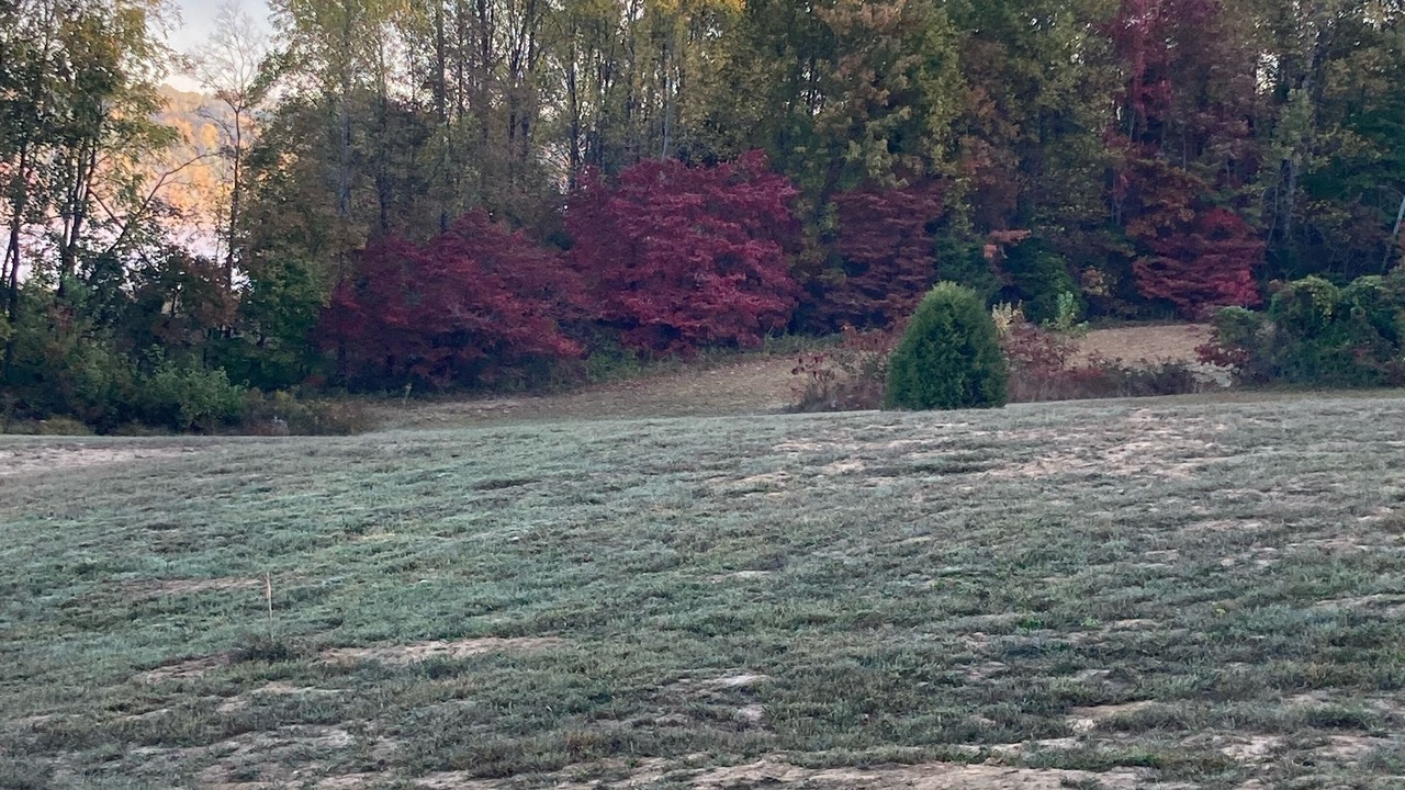 Photo of Others in Schnellville