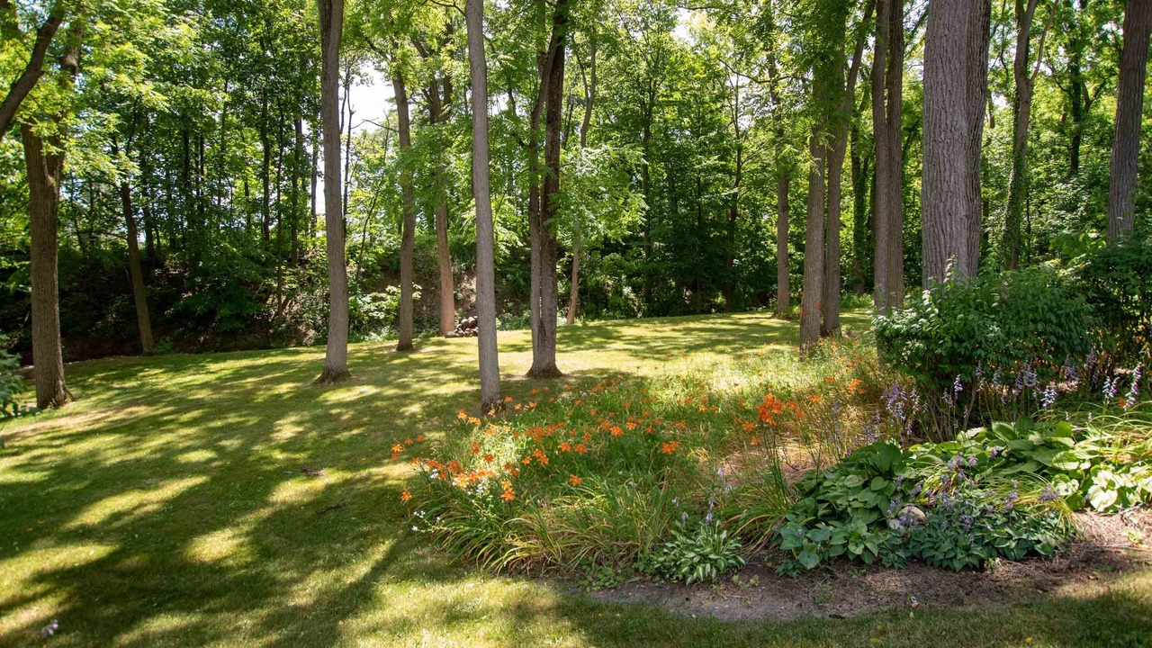 Photo of Outdoor in Town of Varick