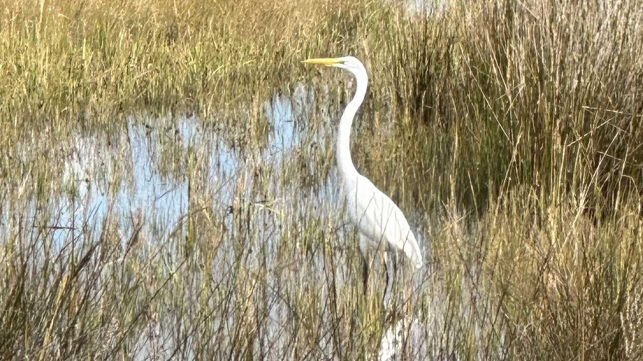 Photo of Outdoor in Crawfordville