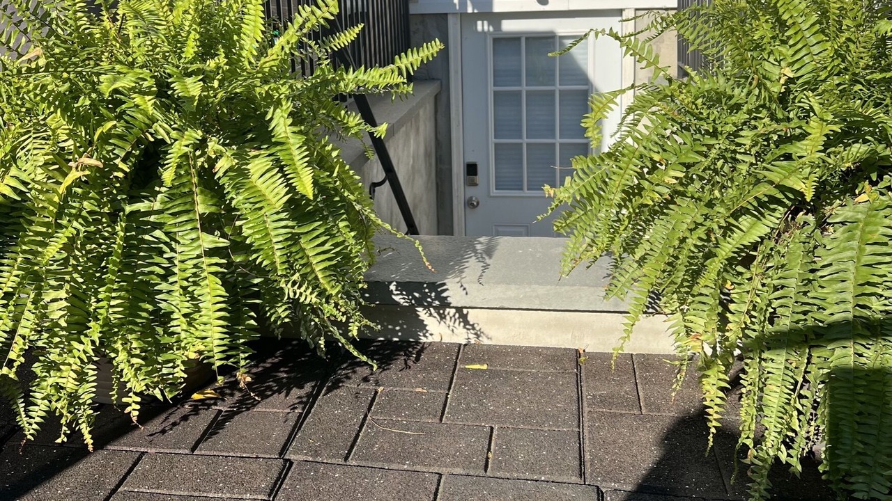 Photo of Outdoor in Mastic