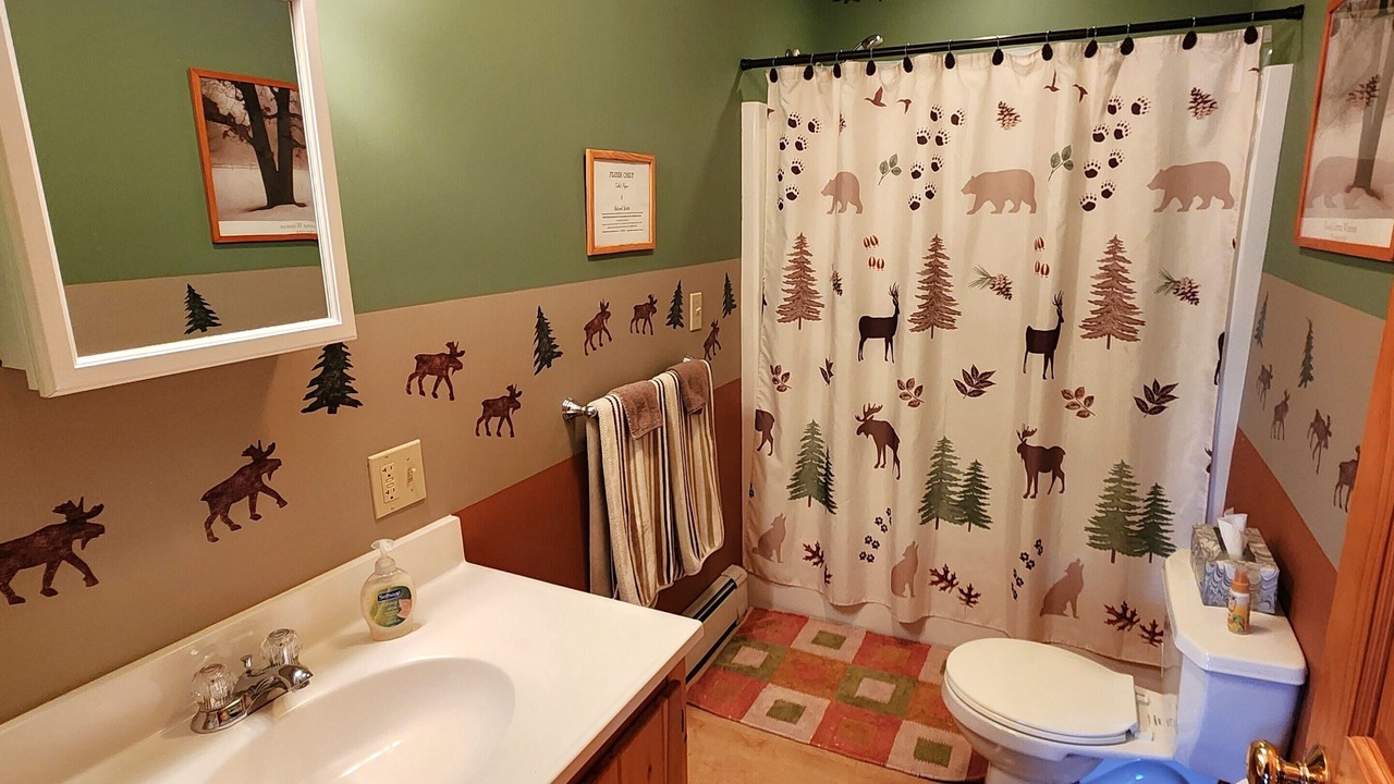 Photo of Bathroom in Olmstedville