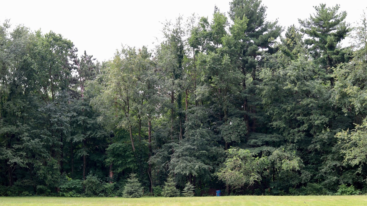 Photo of Others in Saint Marys  Saint Joseph County