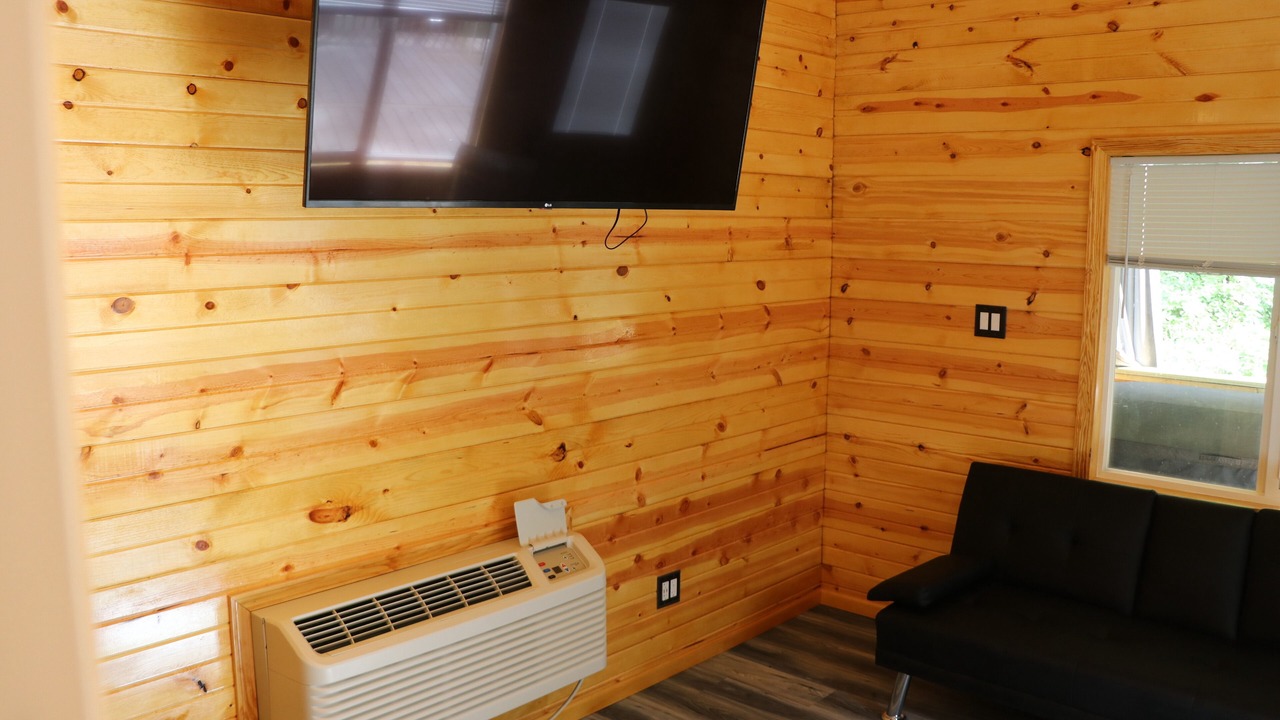 Photo of Livingroom in Miller Beach