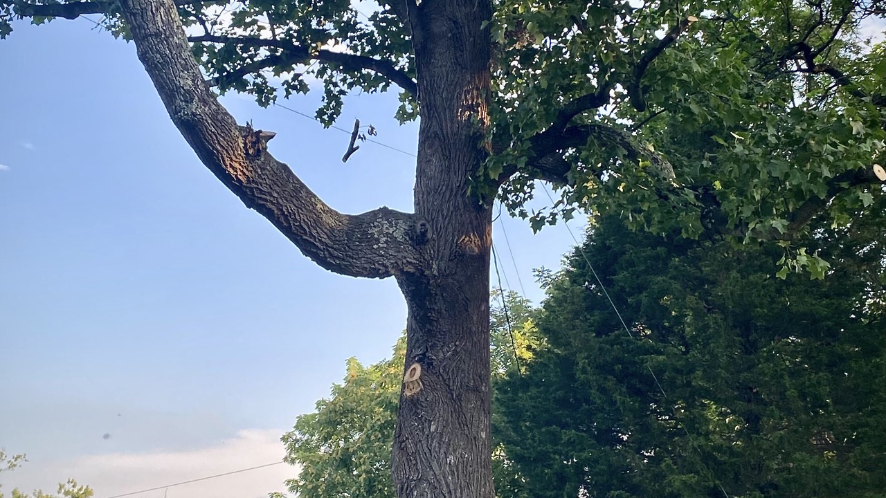 Photo of Outdoor in Bedford