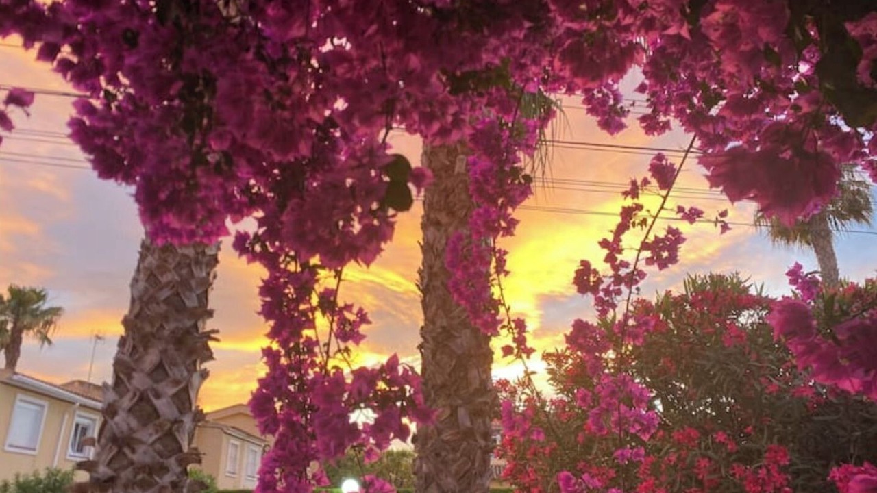 Photo of Outdoor in San Miguel de Salinas