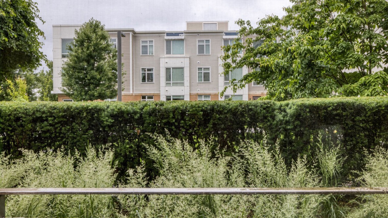 Photo of Outdoor in Cambridgeport