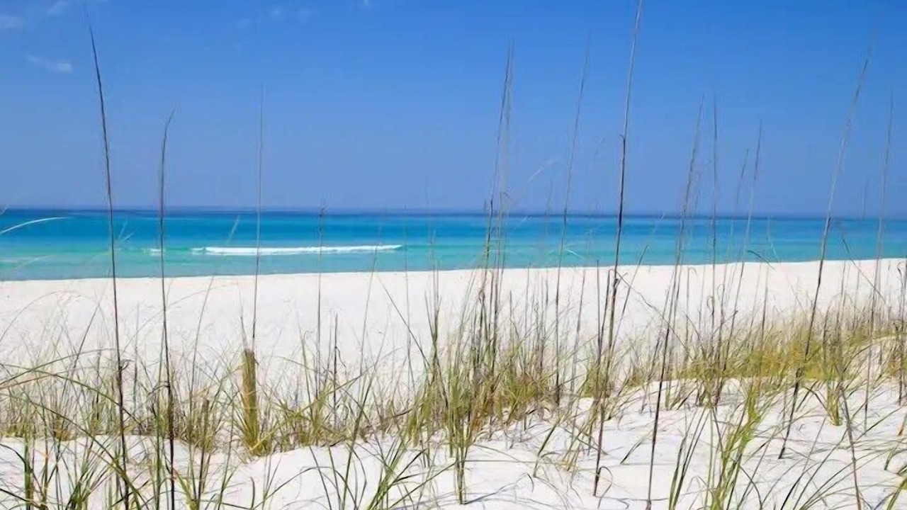 Photo of Others in Rosemary Beach
