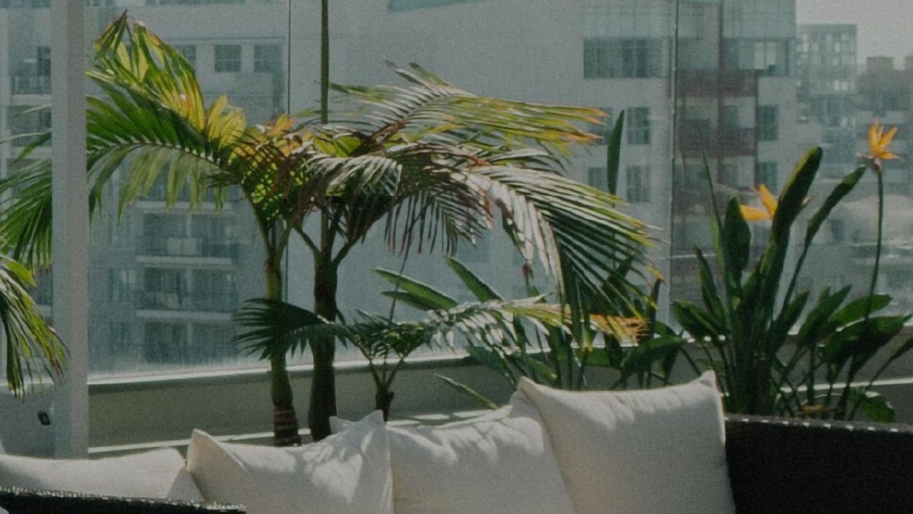 Photo of Outdoor in Upper West Side