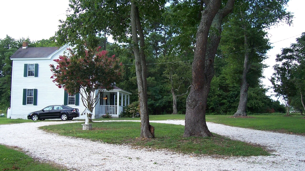 Photo of Outdoor in Birdsnest