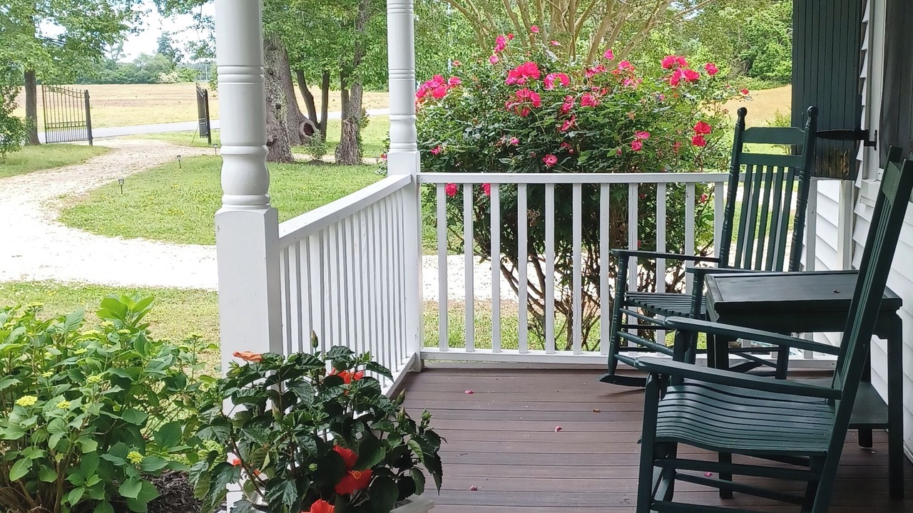 Photo of Patio Balcony in Birdsnest