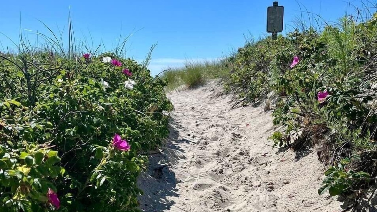 Photo of Others in Osterville