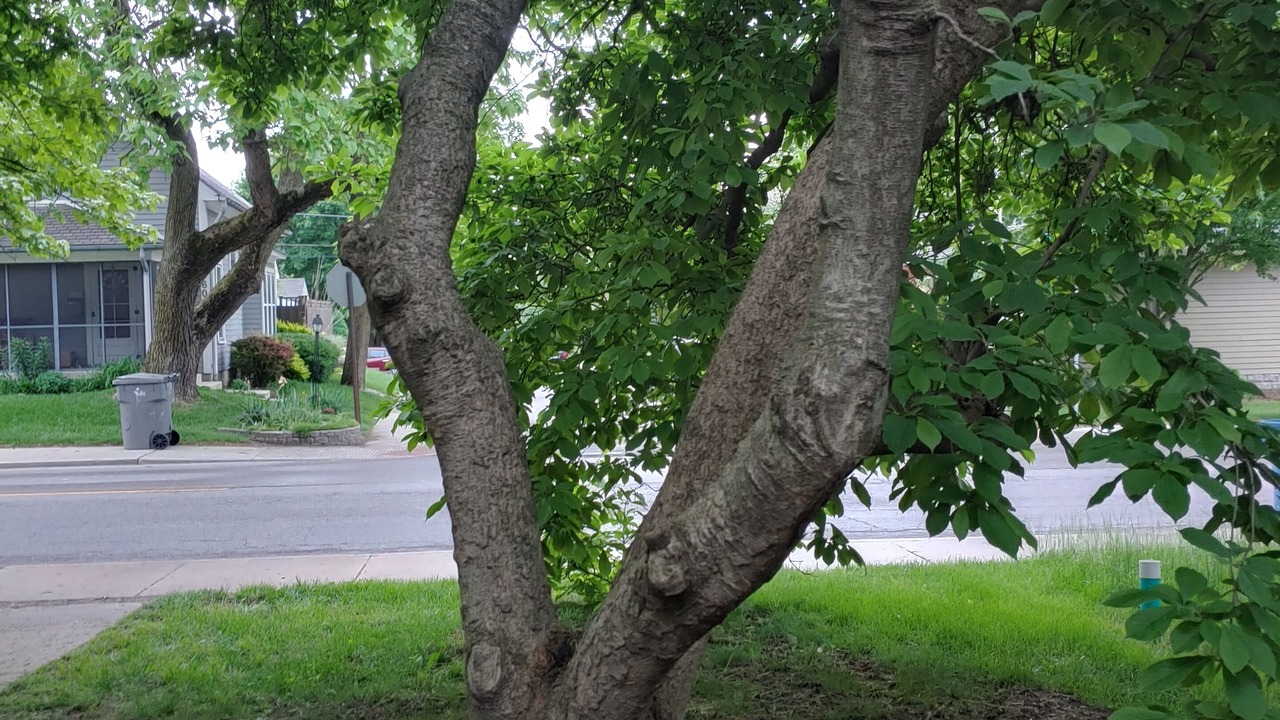 Photo of Outdoor in Irvington