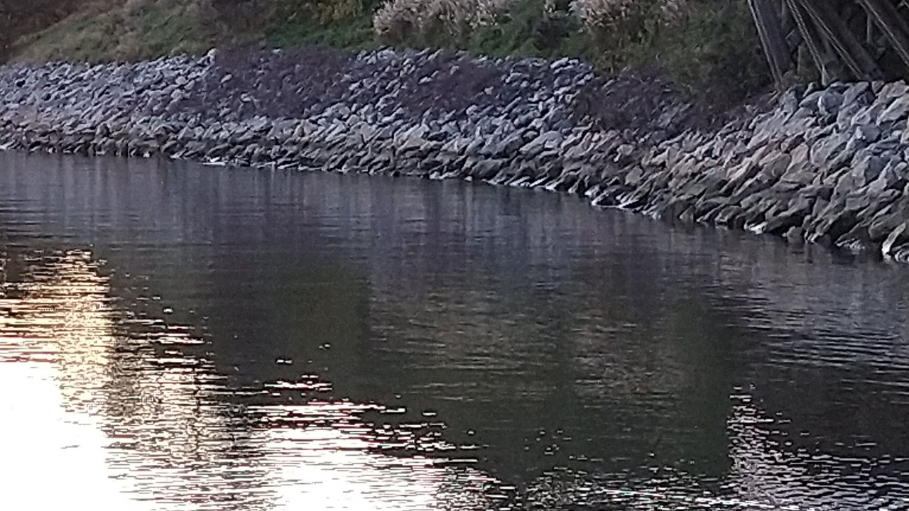 Photo of Others in Kingsmill