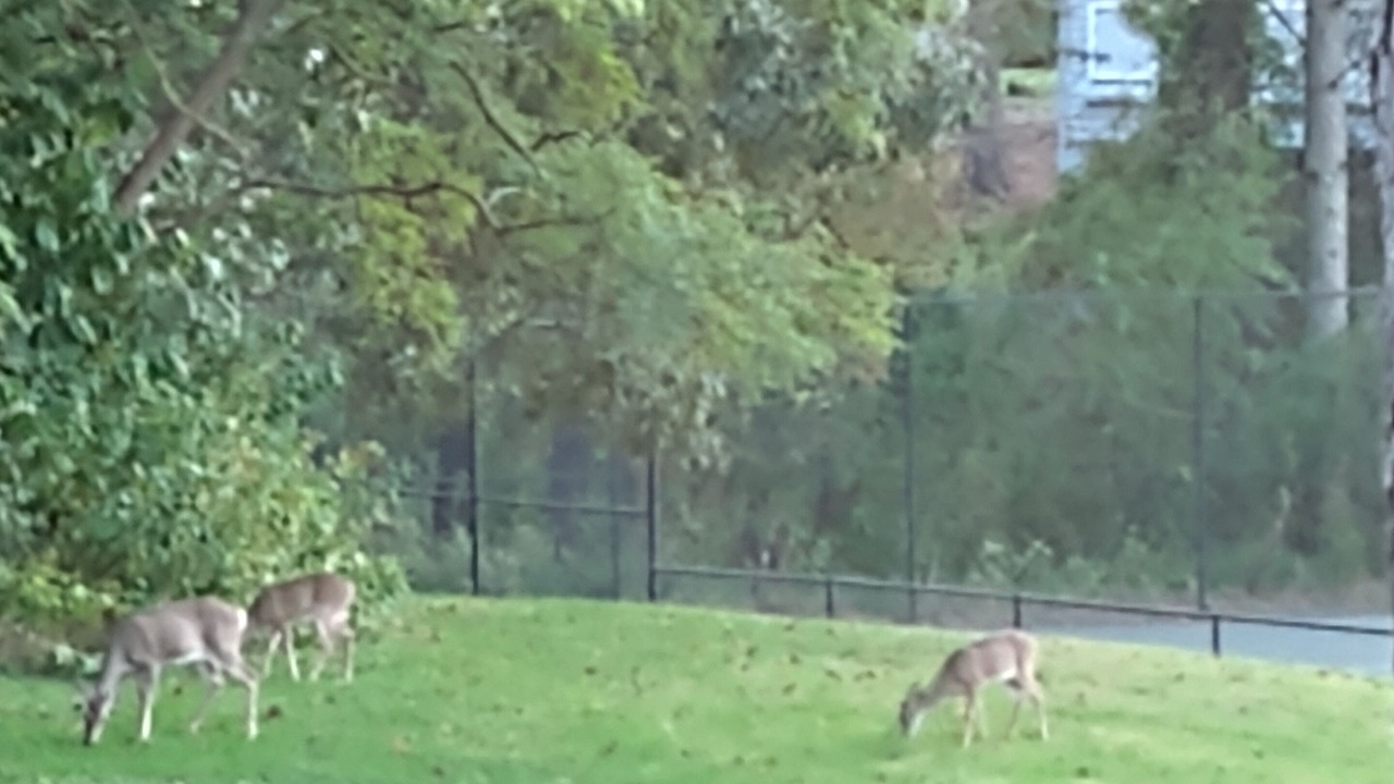 Photo of Others in Kingsmill
