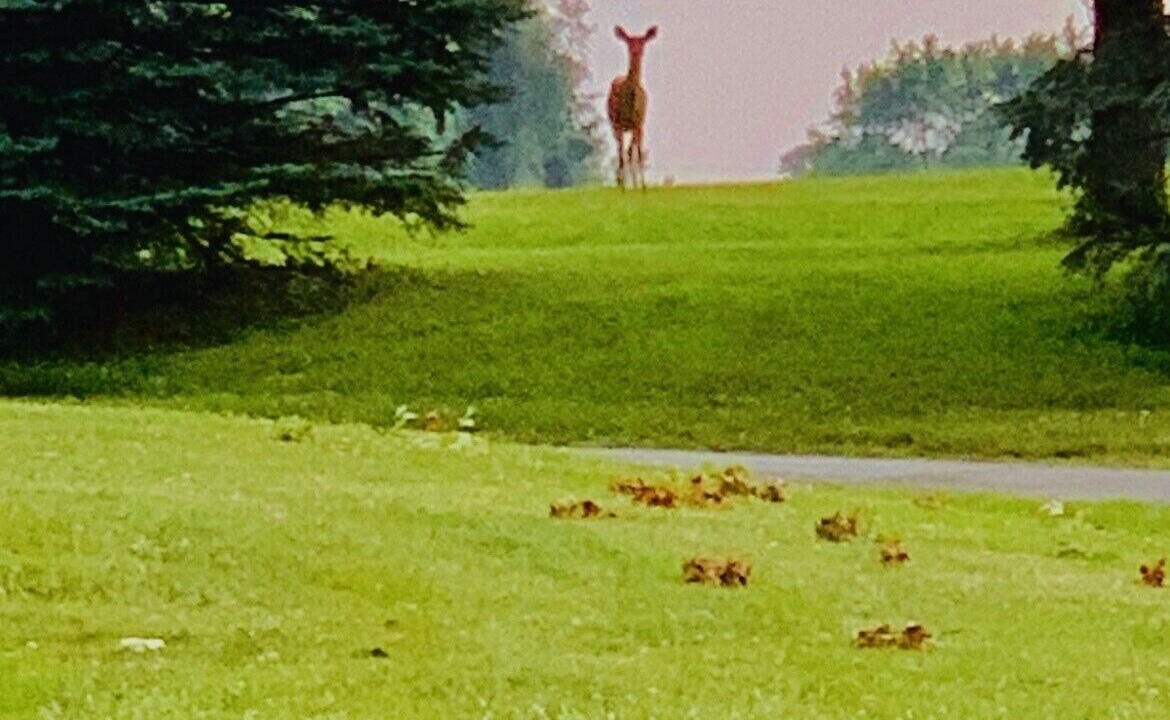 Photo of Others in Madison