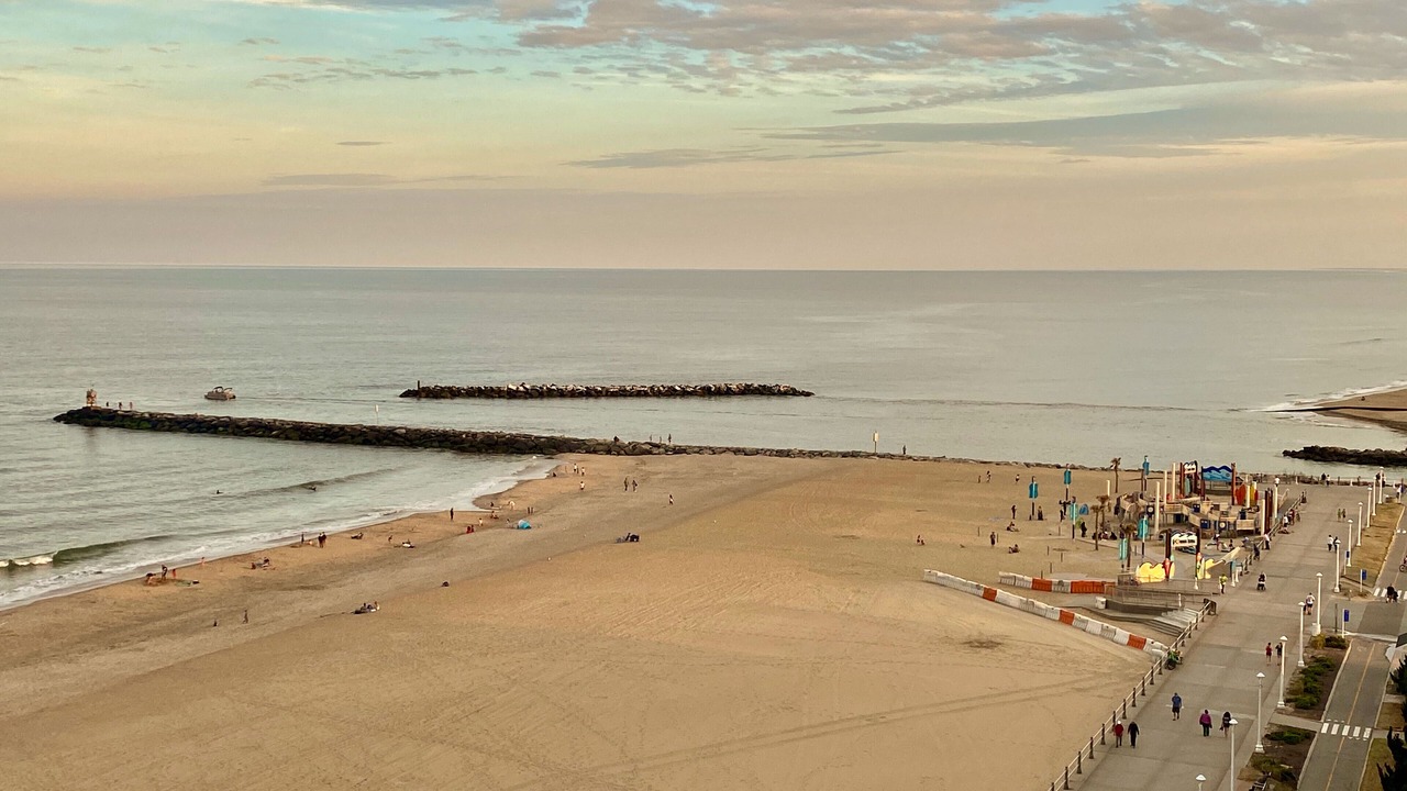 Photo of Others in Northeast Virginia Beach