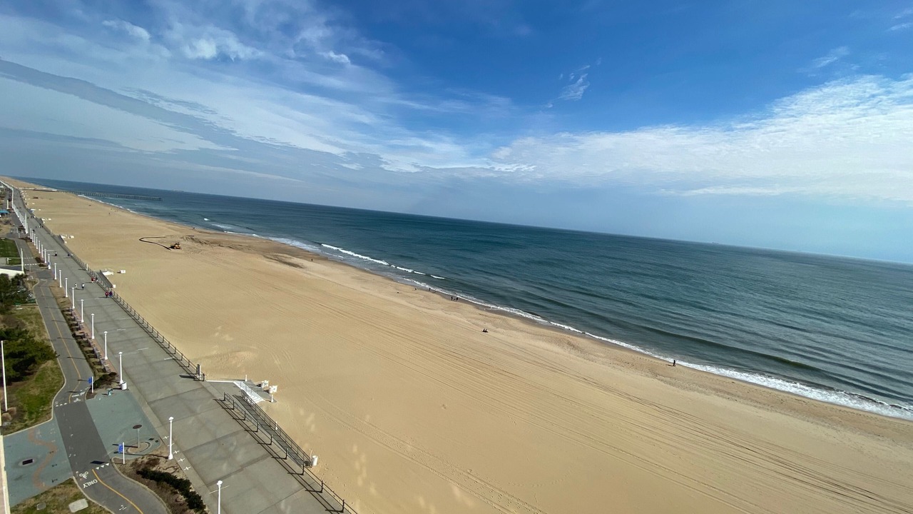 Photo of Others in Northeast Virginia Beach
