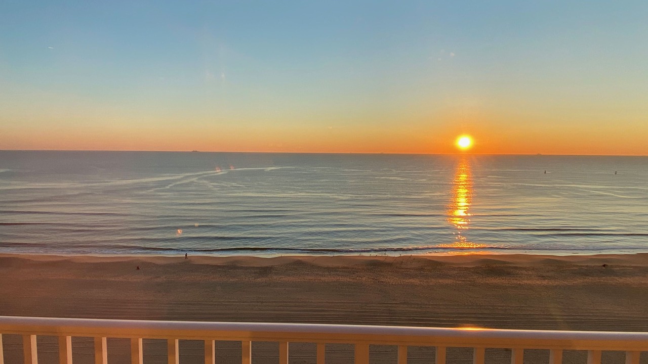 Photo of Others in Northeast Virginia Beach