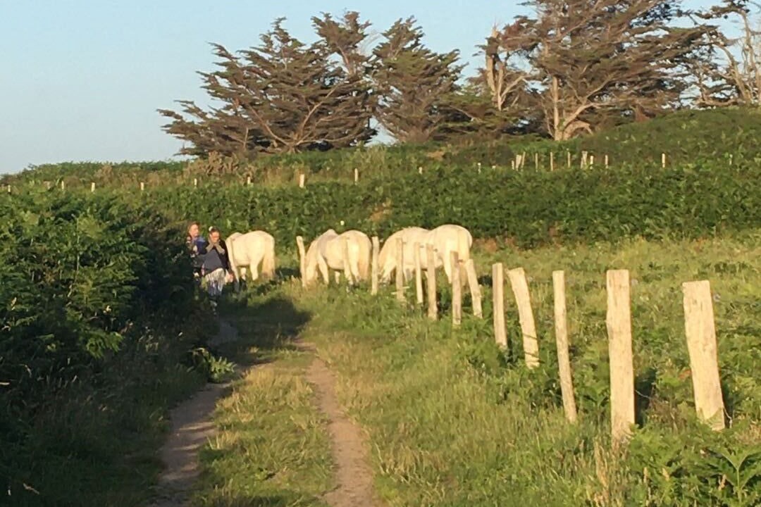 Photo of Outdoor in Tregastel