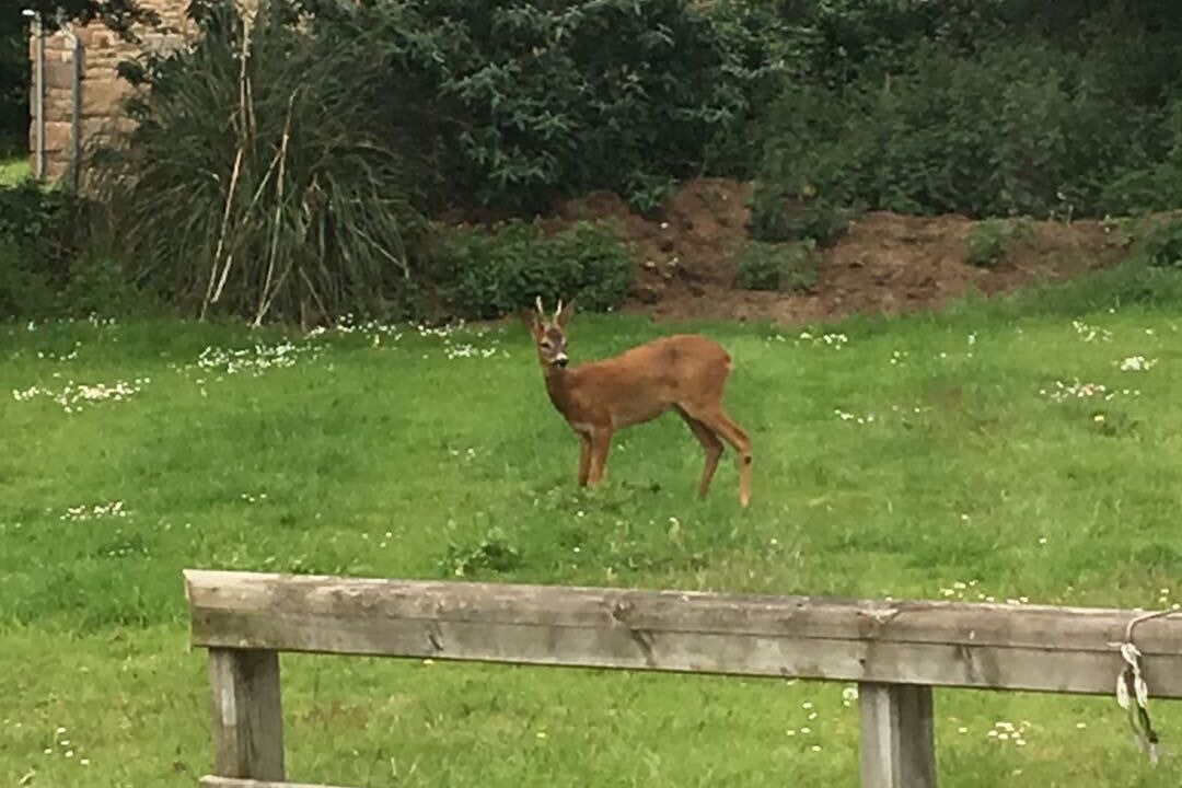 Photo of Outdoor in Tregastel