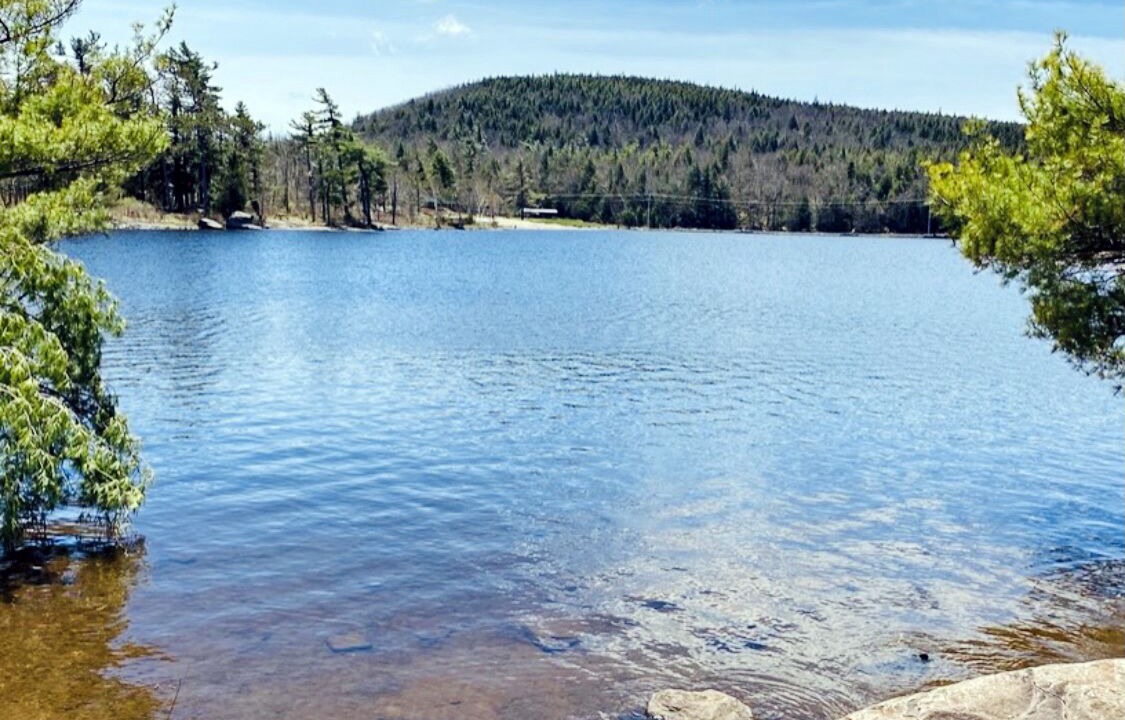 Photo of Outdoor in Haines Falls